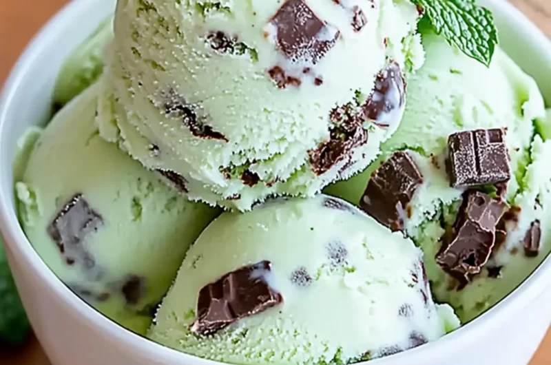 Mint Chocolate Chip Ice Cream